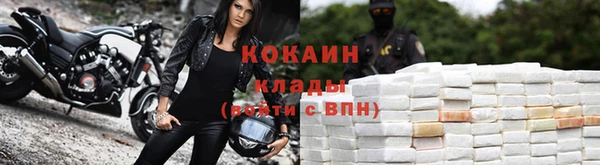 таблы Осинники