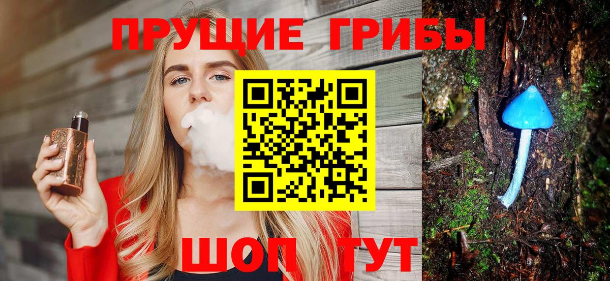 Псилоцибиновые грибы Psilocybe Губкинский